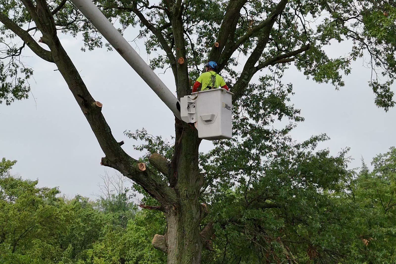 Tree Pruning
