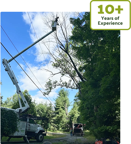 Tree Techs bucket truck and crew performing safe tree services in New Jersey