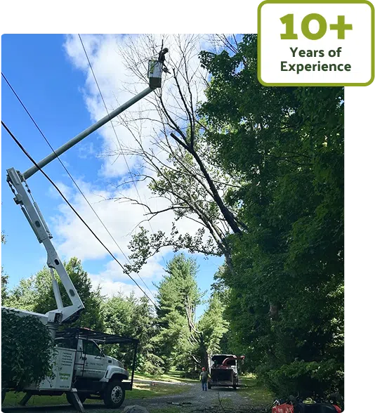 Tree Techs bucket truck and crew performing safe tree services in New Jersey