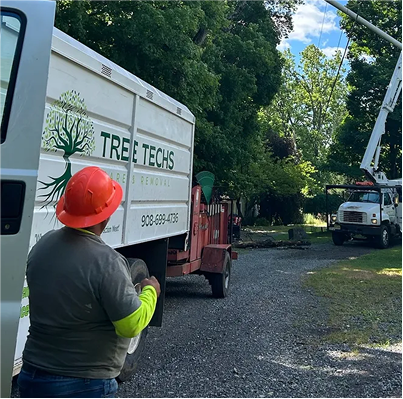 Tree Techs crew performing deep root fertilization in New Jersey