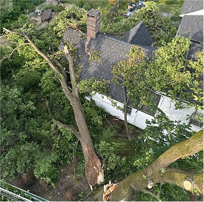 Emergency tree removal near home by Tree Techs in New Jersey