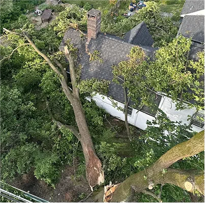 Emergency tree removal near home by Tree Techs in New Jersey