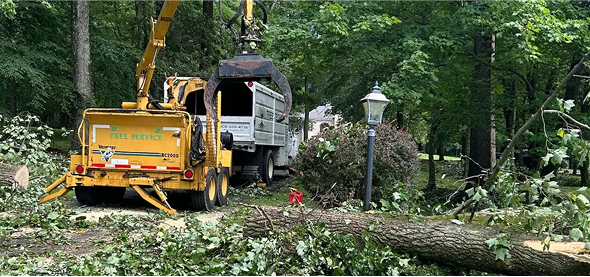 Storm clean up in New Jersey with professional tree removal and debris clearing by Tree Techs.