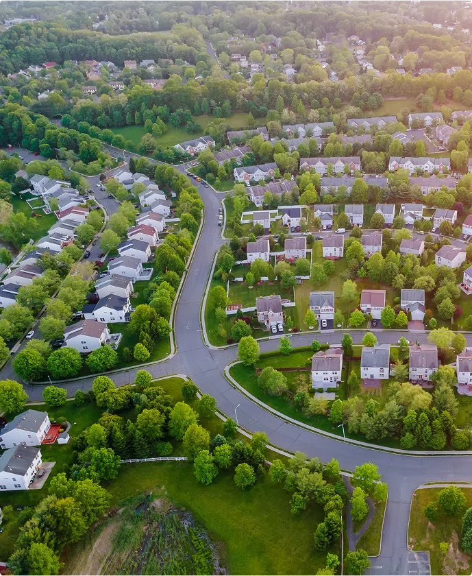New Jersey neighborhood with healthy trees maintained by Tree Techs professional tree services.