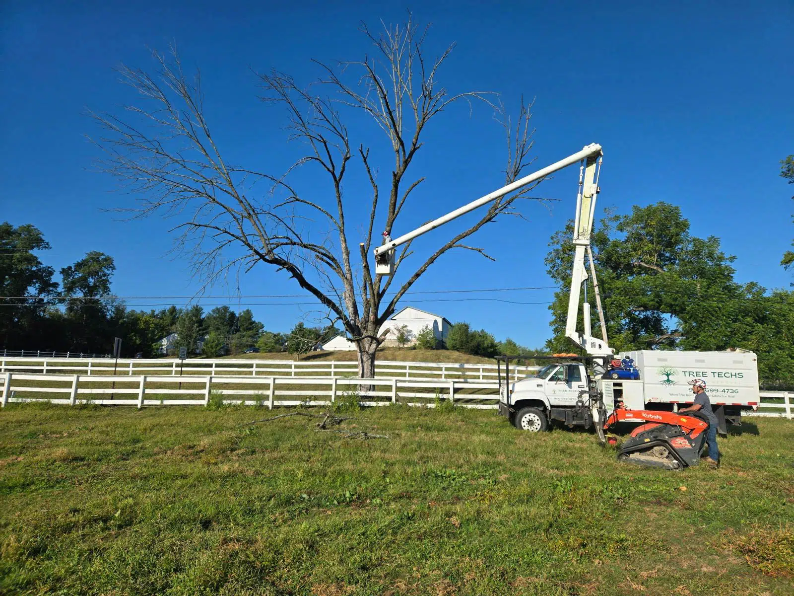 Tree Techs removing large tree in Belle Mead NJ with certified equipment | NJTC #939818