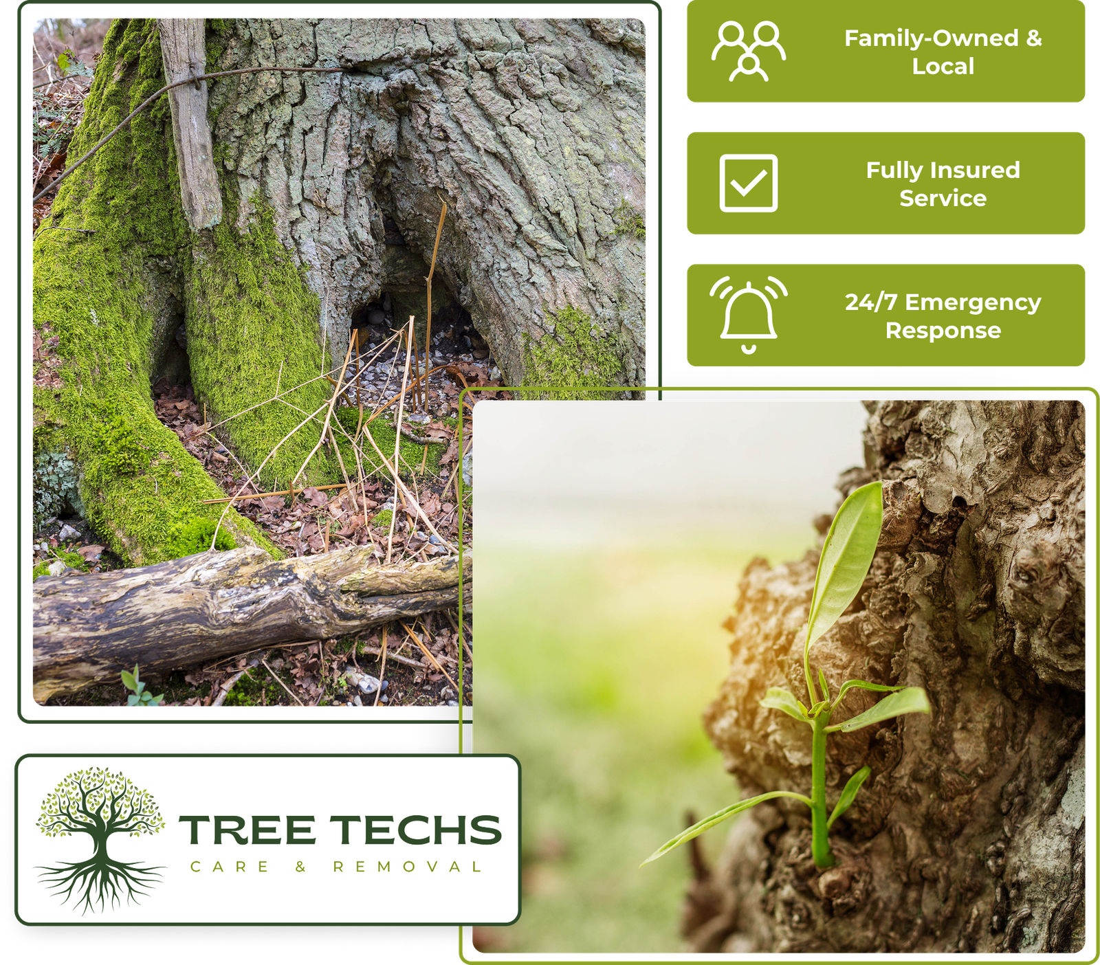 Tree Techs injecting nutrients into the soil for deep root fertilization in NJ.