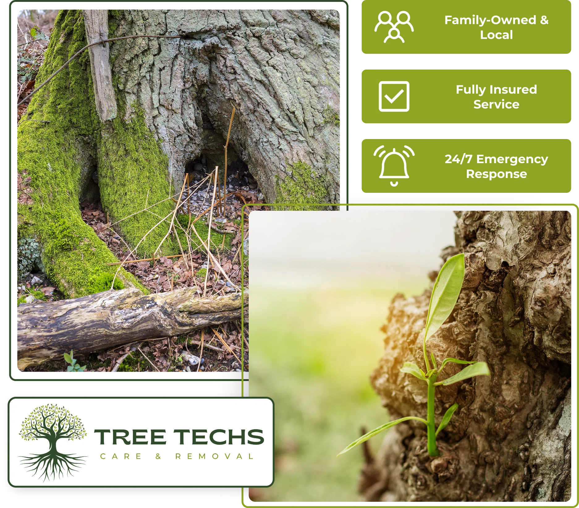 Tree Techs injecting nutrients into the soil for deep root fertilization in NJ.