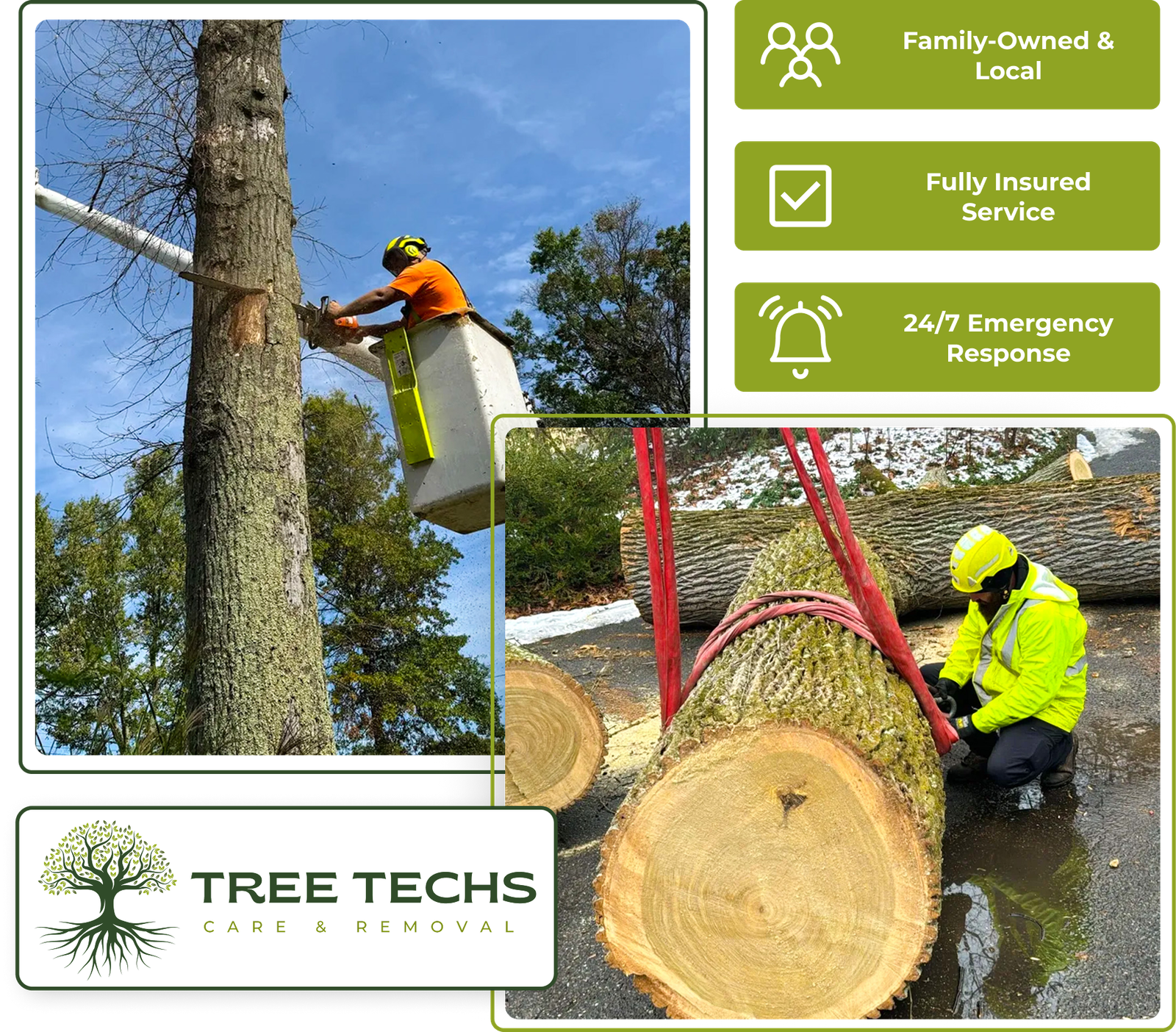 Tree Techs sectioning a tree and clearing debris at a local NJ property.
