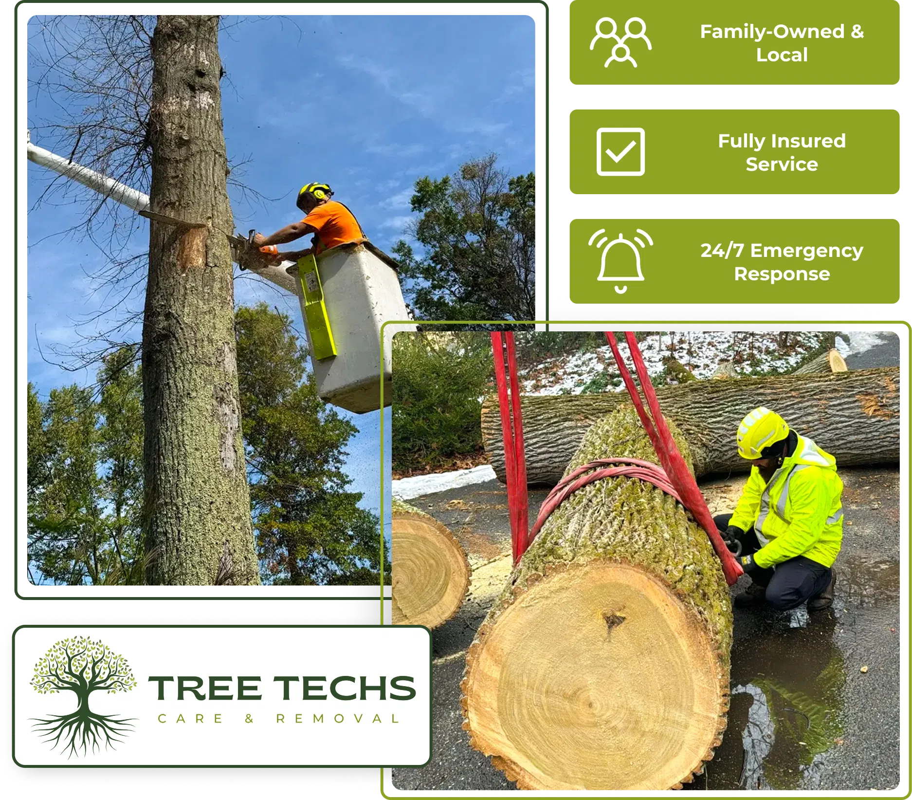 Tree Techs sectioning a tree and clearing debris at a local NJ property.
