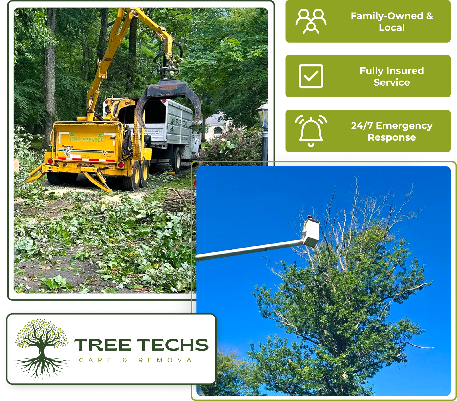 Tree Techs clearing understory and thinning trees in a wooded property.
