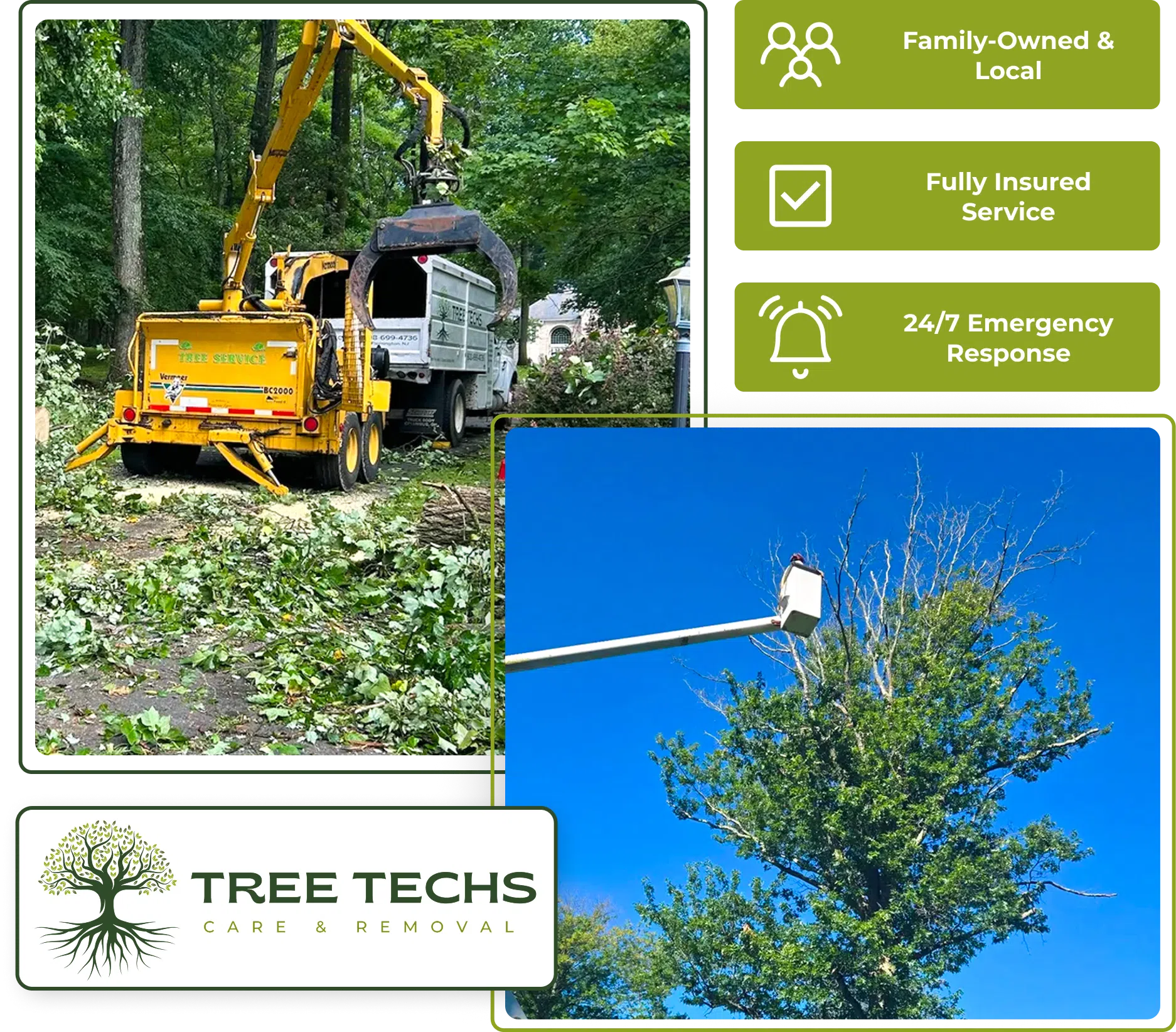 Tree Techs clearing understory and thinning trees in a wooded property.
