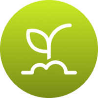 Icon symbolizing stronger root growth from fertilization.