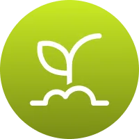 Icon symbolizing stronger root growth from fertilization.