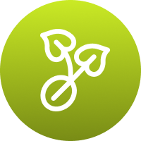 Icon showing vibrant leaf growth after fertilization.