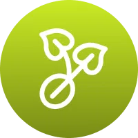 Icon showing vibrant leaf growth after fertilization.