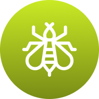 Icon symbolizing increased tree resilience to stress.