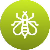 Icon symbolizing increased tree resilience to stress.