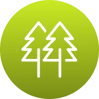 Icon representing improved tree growth after thinning.