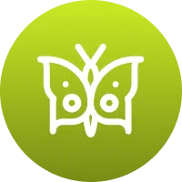 Icon symbolizing improved woodland ecosystem health.
