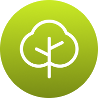 Icon symbolizing improved tree structure through pruning.